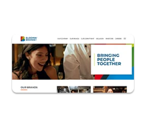 Bloomin' Brands, Inc 2