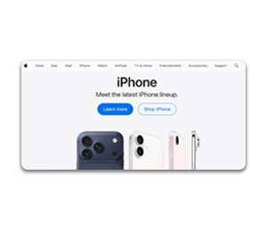 Apple Inc.