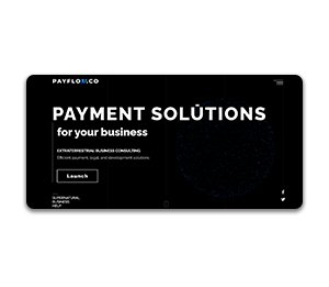 Fintech Platform PayFlow
