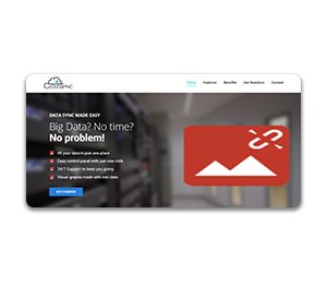 SaaS Startup CloudSync