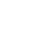 Segment-Specific Reporting