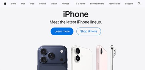Apple Inc.