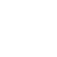 Platform Adaptation Strategy