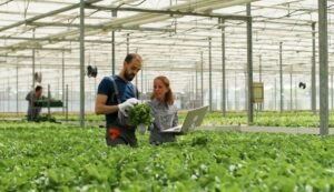 Cultivating Accessibility Bridging the Digital Divide in Agri-Tech